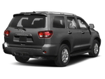 2019 Toyota Sequoia SR5